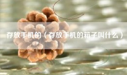 存放手机的（存放手机的箱子叫什么）