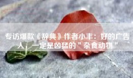 专访爆款《辞典》作者小丰：好的广告人，一定是凶猛的＂杂食动物＂