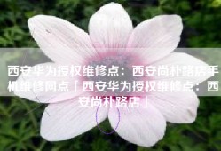 西安华为授权维修点：西安尚朴路店手机维修网点「西安华为授权维修点：西安尚朴路店」