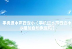 手机进水声音变小（手机进水声音变小沙哑能自动恢复吗）