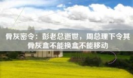 骨灰密令：彭老总逝世，周总理下令其骨灰盒不能换盒不能移动