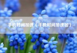 手机时间加速（手机时间加速器）