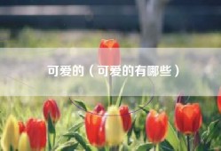 可爱的（可爱的有哪些）