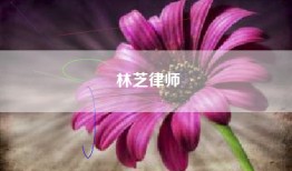 林芝律师