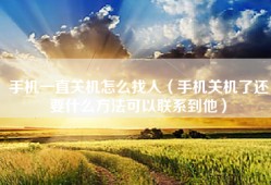 手机一直关机怎么找人（手机关机了还要什么方法可以联系到他）