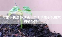 苹果手机屏多少钱一个（苹果手机屏大约多少钱）