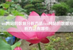 seo网站的数据分析方法(seo网站的数据分析方法有哪些)