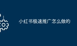 2024小红书极速推广怎么做的