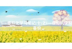 kvm虚拟化学习笔记(十)之kvm虚拟机快照备份