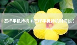 怎样手机待机（怎样手机待机时间长）