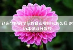 辽东学院的学前教育专业排名怎么样 附历年录取分数线