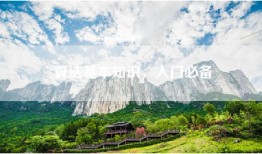 算法基本知识，入门必备
