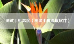 测试手机温度（测试手机温度软件）