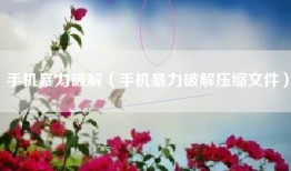 手机暴力破解（手机暴力破解压缩文件）