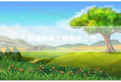 胜建环保工程有限公司