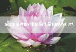 2023年备考BEC中级写作常用观点句型