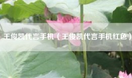 王俊凯代言手机（王俊凯代言手机红色）