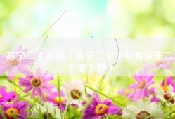 苏宁二手手机（苏宁二手手机和京东二手哪个好）