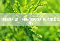 搜狗推广是干嘛的(搜狗推广的效果怎么样)