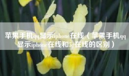 苹果手机qq显示iphone在线（苹果手机qq显示iphone在线和5g在线的区别）