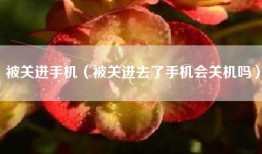 被关进手机（被关进去了手机会关机吗）