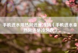 手机进水用热风还是冷风（手机进水拿热风还是冷风吹）