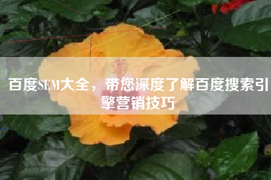 百度SEM大全，带您深度了解百度搜索引擎营销技巧