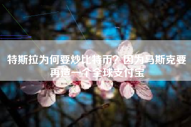 特斯拉为何要炒比特币？因为马斯克要再造一个全球支付宝