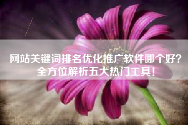 网站关键词排名优化推广软件哪个好？全方位解析五大热门工具！
