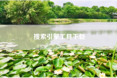 搜索引擎工具下载 搜索引擎工具下载