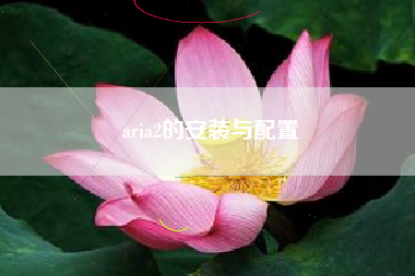 aria2的安装与配置