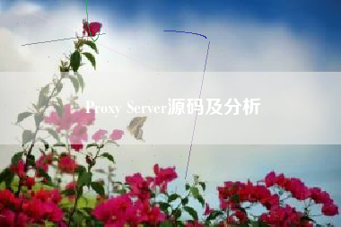 Proxy Server源码及分析 Proxy Server源码及分析