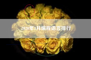 2020年3月编程语言排行
