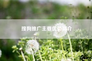 搜狗推广主要优势简介