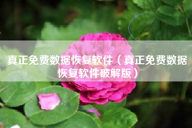 真正免费数据恢复软件（真正免费数据恢复软件破解版）