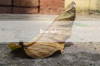 Bear Safety