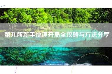 第九所新手快速开局全攻略与方法分享