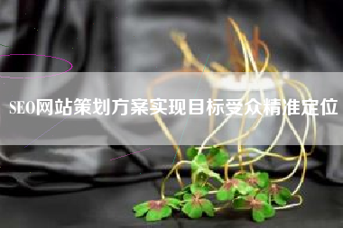 SEO网站策划方案实现目标受众精准定位