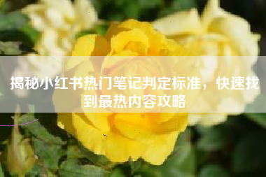 揭秘小红书热门笔记判定标准，快速找到最热内容攻略