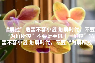 “屏控”危害不容小觑 触屏时代，不要“为屏所控”不要玩手机「“屏控”危害不容小觑 触屏时代，不要“为屏所控”」