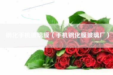 钢化手机玻璃膜（手机钢化膜玻璃厂）