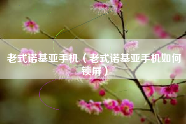 老式诺基亚手机（老式诺基亚手机如何锁屏）