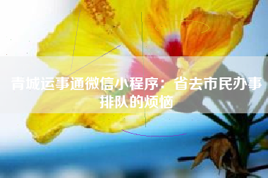 青城运事通微信小程序：省去市民办事排队的烦恼