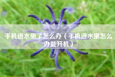 手机进水里了怎么办（手机进水里怎么办能开机）