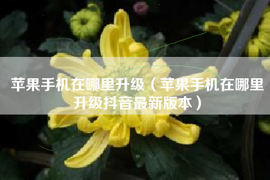 苹果手机在哪里升级（苹果手机在哪里升级抖音最新版本）