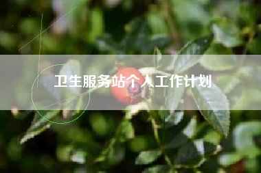 卫生服务站个人工作计划