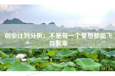 创业计划分析：不是每一个梦想都能飞得起来