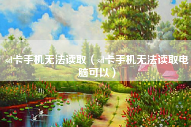 sd卡手机无法读取（sd卡手机无法读取电脑可以）