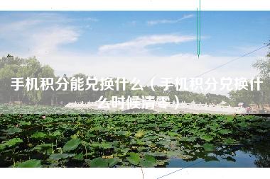 手机积分能兑换什么（手机积分兑换什么时候清零）