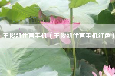 王俊凯代言手机（王俊凯代言手机红色）